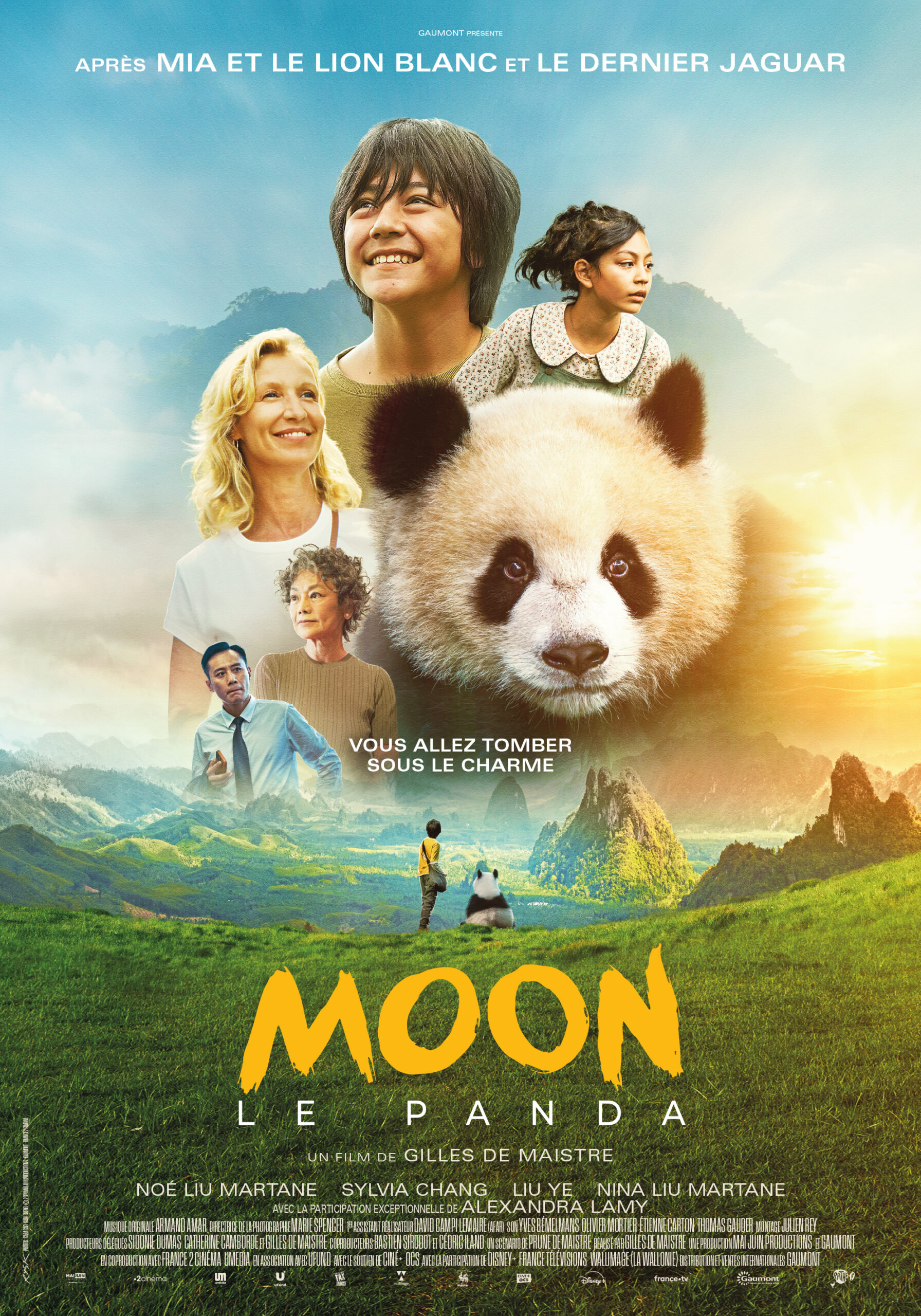 Moon affiche